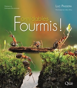 ff